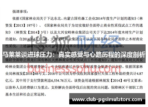 马莱莱谈进球压力：真实感受与心路历程的深度剖析